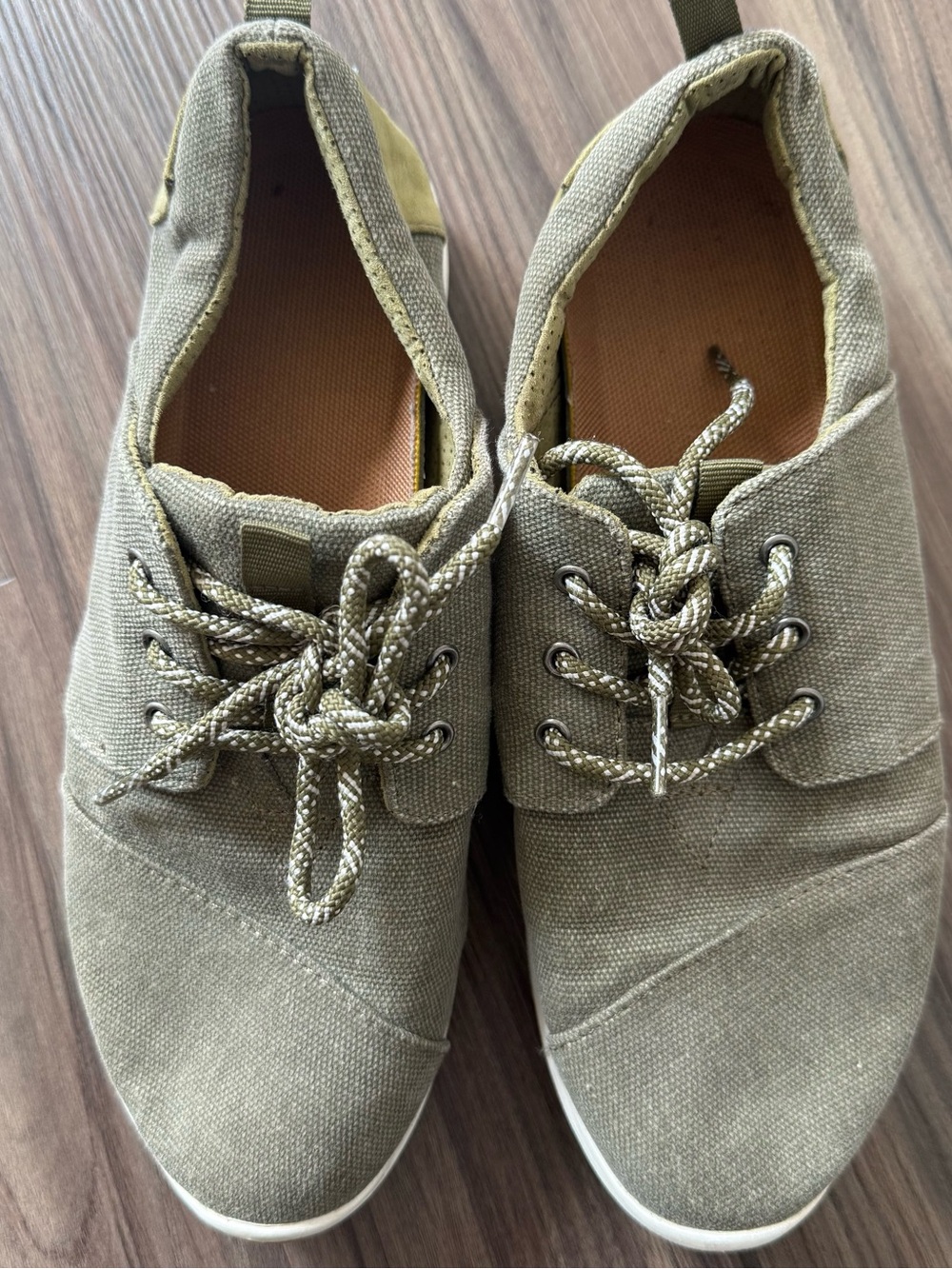 Toms Women's Canvas Sneakers in Olive Green